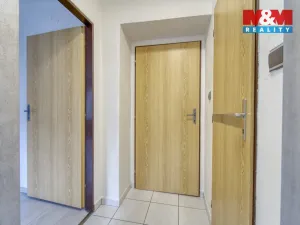 Pronájem kanceláře, Plzeň, Zikmunda Wintra, 58 m2