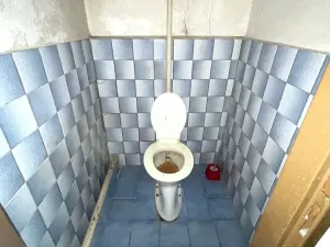 Prodej rodinného domu, Pitín, 341 m2