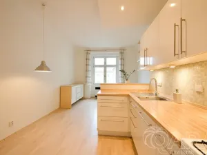 Pronájem bytu 2+kk, Praha - Žižkov, Přemyslovská, 46 m2