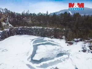 Prodej rybníku, Rabí, 28273 m2