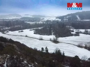 Prodej lesa, Rabí, 28273 m2