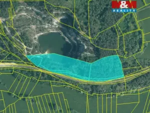 Prodej lesa, Rabí, 28273 m2