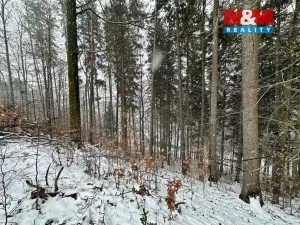 Prodej lesa, Ústí nad Orlicí - Oldřichovice, 2745 m2