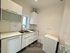 Pronájem bytu 2+1, Praha - Holešovice, Jateční, 54 m2