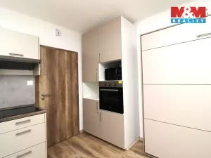 Pronájem bytu 1+kk, Ostrov - Horní Žďár, 28 m2