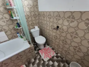 Prodej rodinného domu, Prostějov, Stroupežnického, 380 m2