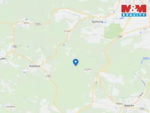 Prodej lesa, Nišovice, 12140 m2