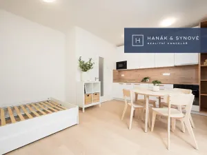 Pronájem bytu 1+kk, Pohořelice, 30 m2