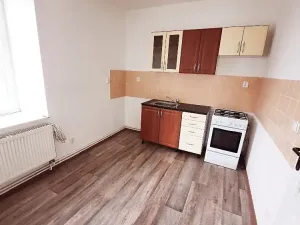 Pronájem bytu 1+1, Vrbice, 38 m2