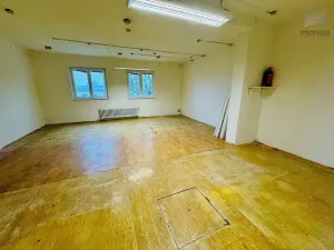 Pronájem výrobních prostor, Brno, Ječná, 189 m2