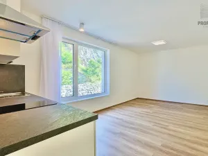 Pronájem bytu 1+kk, Brno, Bystrcká, 30 m2