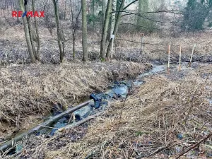 Prodej rybníku, Ondřejov, 8264 m2