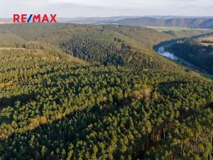 Prodej lesa, Všehrdy, 35057 m2