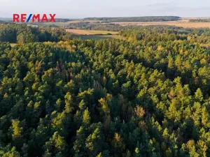 Prodej lesa, Všehrdy, 35057 m2