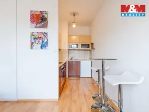 Pronájem bytu 1+kk, Plzeň - Jižní Předměstí, U Radbuzy, 29 m2