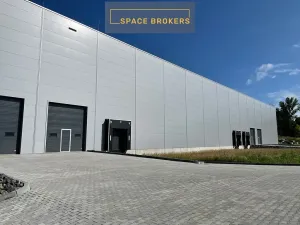 Pronájem skladu, Hustopeče, 4320 m2