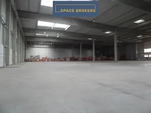 Pronájem skladu, Blučina, 1554 m2