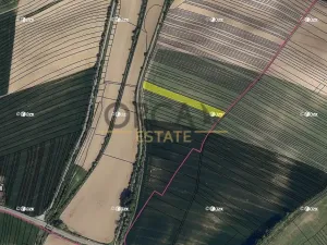 Prodej podílu pole, Ždánice, 1891 m2