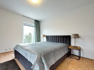 Pronájem rodinného domu, Dolní Břežany, V Úvozu, 380 m2