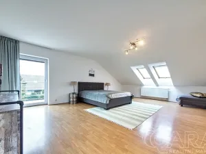 Pronájem rodinného domu, Dolní Břežany, V Úvozu, 380 m2