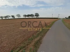 Prodej pozemku, Dambořice, 2675 m2