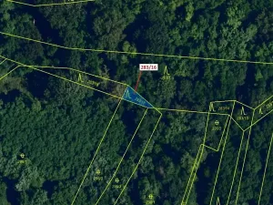 Dražba lesa, Ivančice, 71 m2