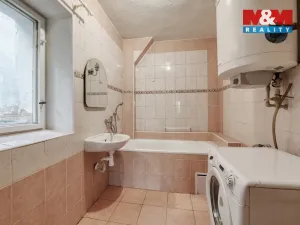 Prodej bytu 2+1, Planá - Svahy, 67 m2