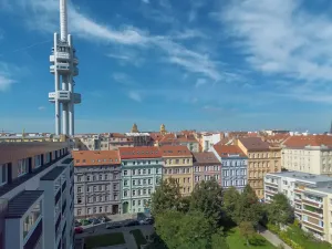 Prodej bytu 2+kk, Praha - Žižkov, Bořivojova, 63 m2