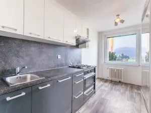 Prodej bytu 3+1, Ústí nad Labem, Přemyslovců, 74 m2