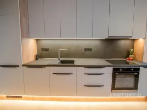 Prodej bytu 2+1, Praha - Vysočany, Kolbenova, 66 m2