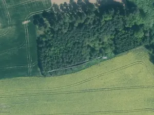 Prodej lesa, Zastávka, 11212 m2