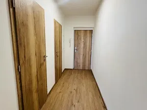 Pronájem bytu 1+kk, Olomouc, Frištenského, 32 m2