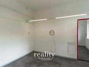 Pronájem výrobních prostor, Šebrov-Kateřina, 243 m2