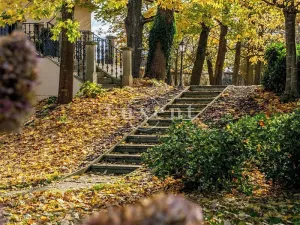 Prodej ubytování, Trnová, 1585 m2