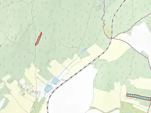 Prodej lesa, Jihlávka, 10463 m2