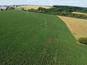 Dražba pole, Dobrkovice, 30944 m2