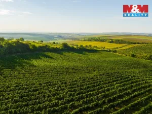 Prodej pole, Šardice, 56699 m2