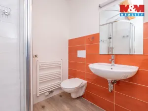 Pronájem bytu 1+kk, Studeněves, 39 m2