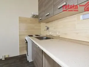 Pronájem bytu 1+1, Chomutov, Borová, 36 m2