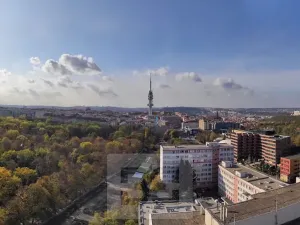 Pronájem bytu 2+kk, Praha - Žižkov, Olšanská, 66 m2