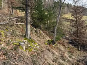 Prodej lesa, Huslenky, 11045 m2