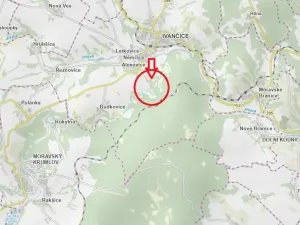 Prodej podílu lesa, Ivančice, 2330 m2