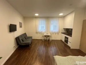 Pronájem bytu 1+kk, Olomouc, Andělská, 40 m2