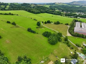 Prodej pozemku pro bydlení, Pulečný, 4466 m2