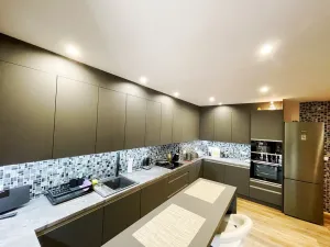 Prodej rodinného domu, Plzeň - Východní Předměstí, Stanko Vodičky, 218 m2