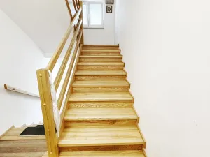 Prodej rodinného domu, Plzeň - Východní Předměstí, Stanko Vodičky, 218 m2