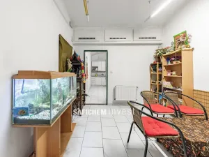 Prodej obchodního prostoru, Praha - Vinohrady, Moravská, 92 m2