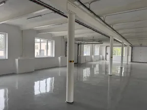 Pronájem skladu, Ostrov, 800 m2