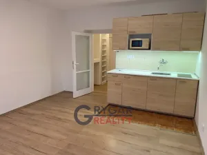 Pronájem bytu 1+kk, Praha - Braník, Jeremenkova, 31 m2