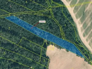 Dražba lesa, Jesenice, 4694 m2